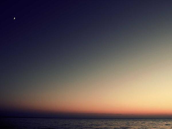 Restaurant & cafe website